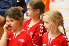 Bengerl2019_327