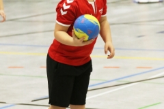 Bengerl2019_331