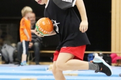 Bengerl2019_345