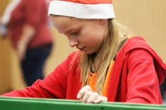 Bengerl2019_370