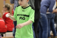 Bengerl2019_379