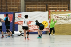 Damen 1 gegen Bad Tölz_-18
