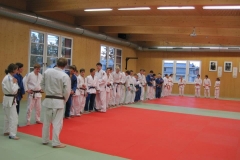 2013-Judo