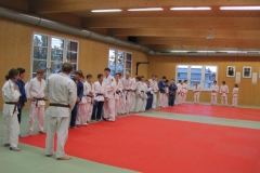 2013-Judo