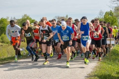 2017-Aulauf0-09929 Start der 10km