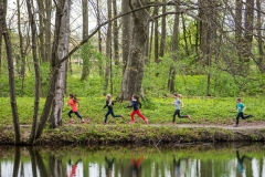 2017-Aulauf1-00951 Lauf am Auweiher