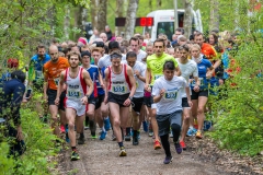 2017-Aulauf1-01045 Aus dem Weg, die 5km-Walze kommt