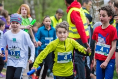 2017-Aulauf1-01592 Staffeldynamik 4x800m