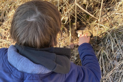 LA-Challenge-2021-09