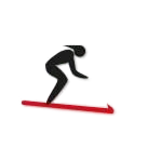 Skisport