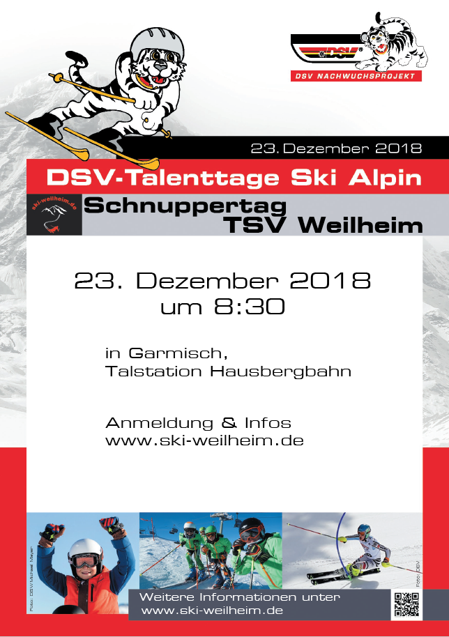 2018-12 dsv_talenttag_alpin_tsv