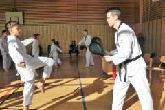 Antonio-mit-Dolyo-chagi