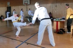 Daniel-mit-Ap-chagi