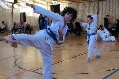 Emanuel-mit-Yop-chagi