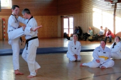Flo-und-Robert-Abwehr-von-Paldung-chagi-1