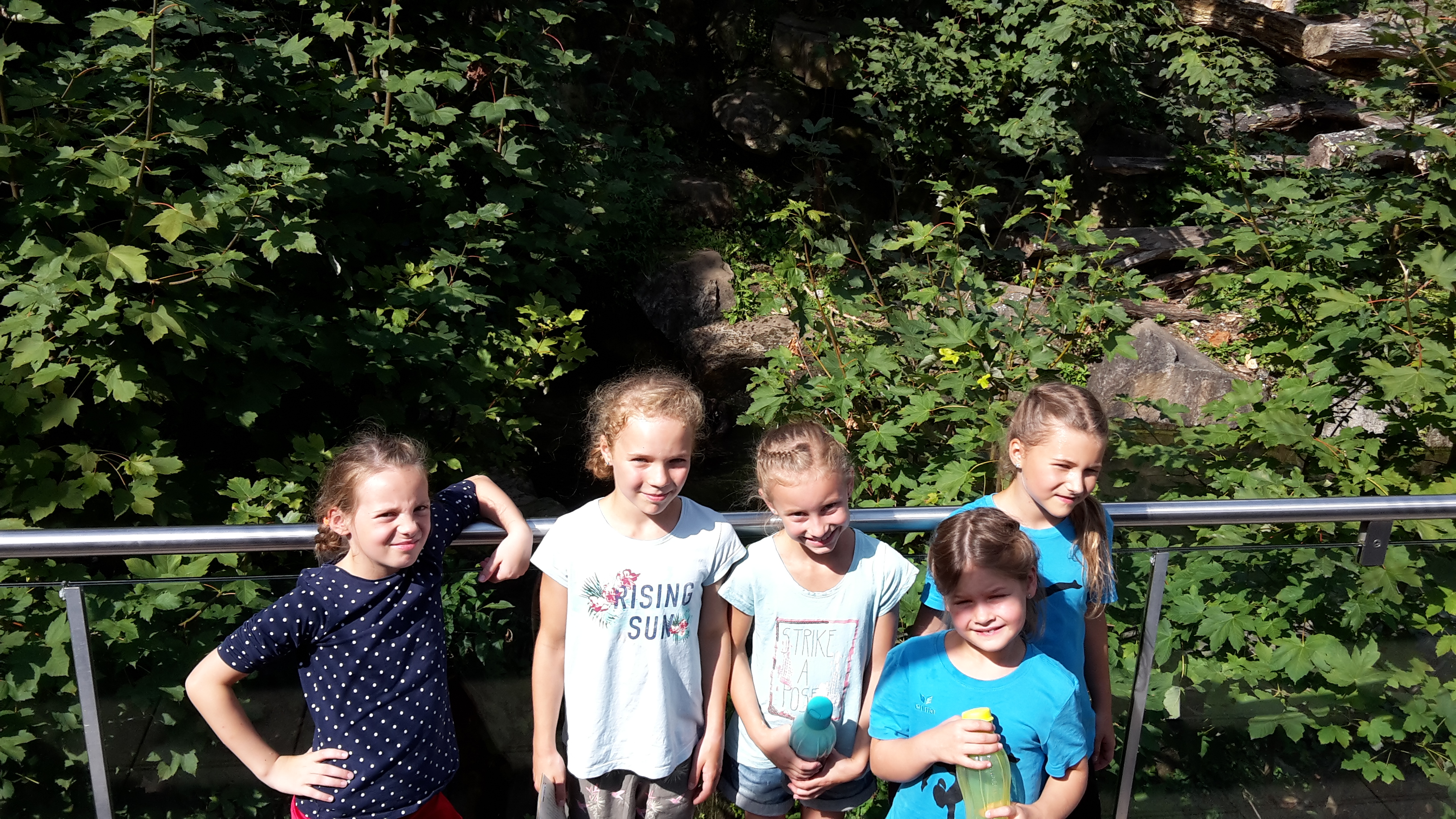 11-09-2016-innsbruck_alpenzoo-1