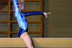 2-02-2014_Laura-Leiman_Balken