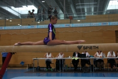 4-06-2016_Daniela-Bica_Balken