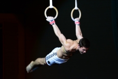 12-12-2015_Zwischennummer_Ringe_2