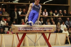 16-11-2013_Nicolai-Ullrich_Seitpferd