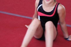 Annica