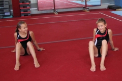 die-Unzertrennlichen