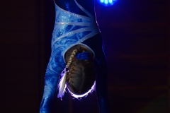 k-DSC_2166