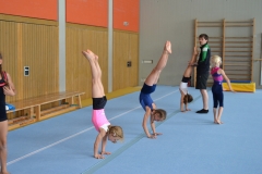 9.09.2013_Handstand-stehen