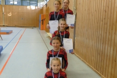 8.11.2014_Mannschaftsbild_1