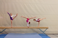 14.01.2014_Landeskader