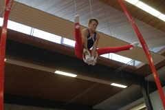 11.10.2015_Manuel-Vicario_Ringe