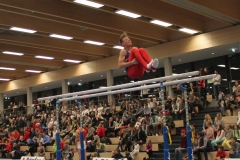 22.11.2015_Manuel-Vicario_Barren