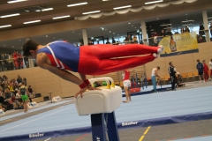 22.11.2015_Moritz-Kraus_Seitpferd