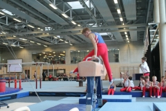 24-04-2016_Florian-Fabian_Seitpferd