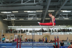 24-04-2016_Manuel-Foerster_Barren