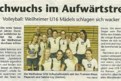 2014-08-16-Kreisbote(Volleyball)
