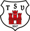 tsv_logo_100